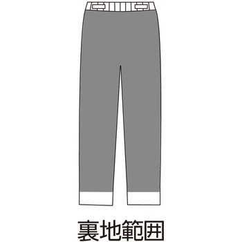 98561婦人裏起毛おしりスルッとパンツ ケアファッション