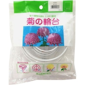 菊の輪台 渡辺泰