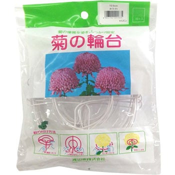 菊の輪台 渡辺泰