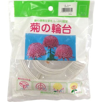 菊の輪台 渡辺泰