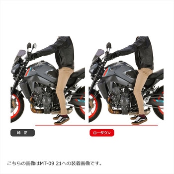 ローダウンキット PHA369D EFFEX(エフェックス)