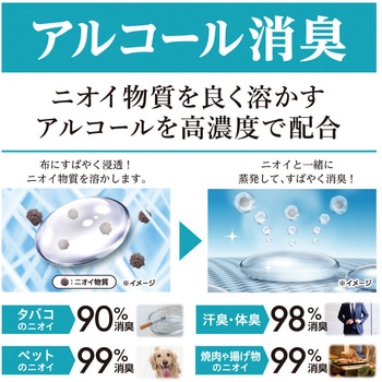 ノンスメル清水香 白元