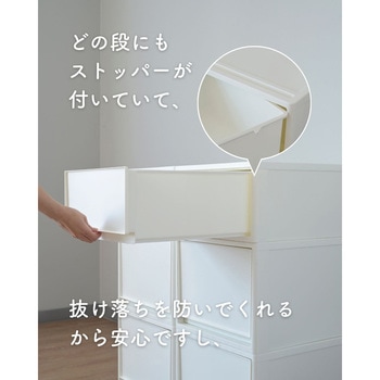 収納ボックス 奥行53cm 2個/3個/4個組 JEJアステージ