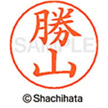 ネームペン用ネーム 既製(カ) シヤチハタ