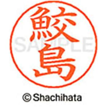 ネームペン用ネーム 既製(サ) シヤチハタ