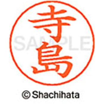 ネームペン用ネーム 既製(テ) シヤチハタ