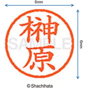 ネーム6 既製(サ) シヤチハタ