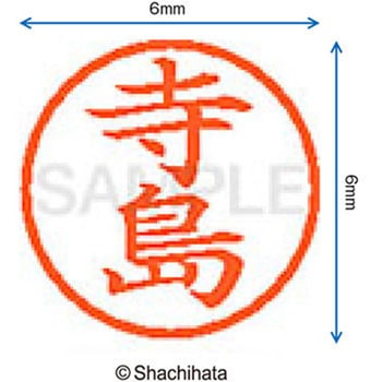 ネーム6 既製(テ) シヤチハタ