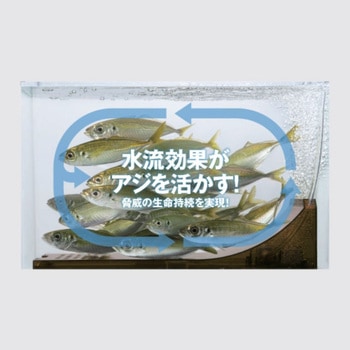 アジカンサイクロン 明邦化学