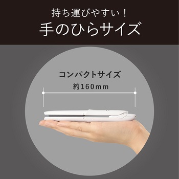 USB給電式モバイルストレートアイロン コイズミ