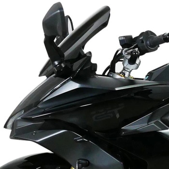 スクリーン スポーツ ブラック 4025066173419 MRA(ムラキリアルアドバンス)