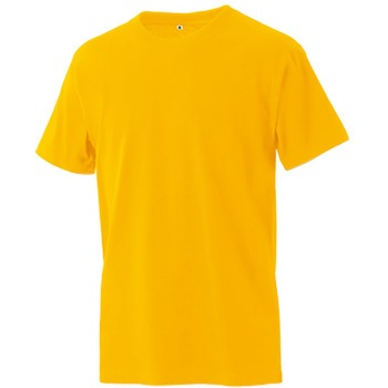 ニマルタンTシャツ マスダ