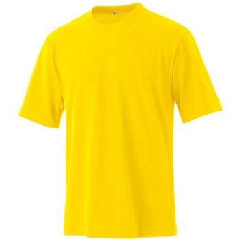 サンマルタンTシャツ マスダ