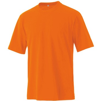 サンマルタンTシャツ マスダ