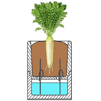 ハイブリッド栽培用発泡スチロール容器 Plant Factory Ver2 フルセット ホワイトバリーン