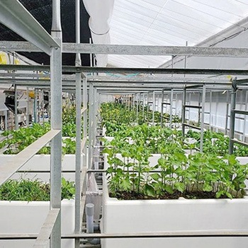 ハイブリッド栽培用発泡スチロール容器 Plant Factory Ver2 フルセット ホワイトバリーン