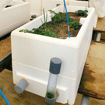 ハイブリッド栽培用発泡スチロール容器 Plant Factory Ver2 フルセット ホワイトバリーン