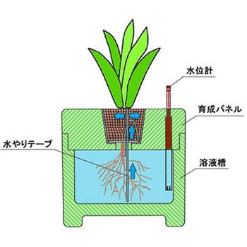 ハイブリッド栽培用発泡スチロール容器 FARM BOX CUBE 410 フルセット ホワイトバリーン