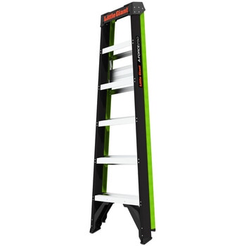 エーフォース 250 (BK&GR 4尺) Little Giant