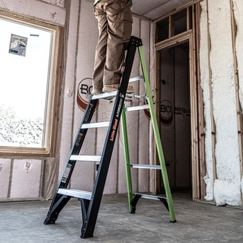 エーフォース 250 (BK&GR 4尺) Little Giant