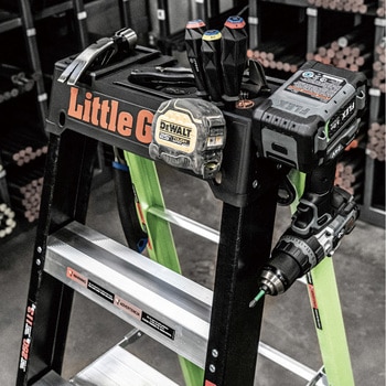 エーフォース 250 (BK&GR 4尺) Little Giant