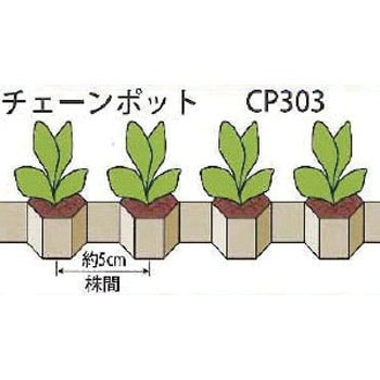CP303 チェーンポット 1セット(150枚) 日本甜菜製糖 【通販サイト