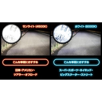スフィアLED ライジング2 2輪用 SRBHB060 SPHERELIGHT(スフィアライト)