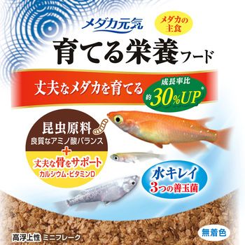 メダカ元気 育てる栄養フード ジェックス