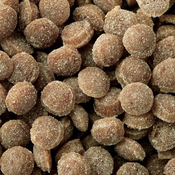 おすわりくん 超小粒 ビーフ d.b.f