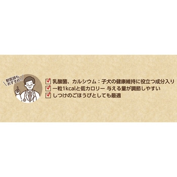 HappyDays パピーボーロ 乳酸菌 ペットプロジャパン