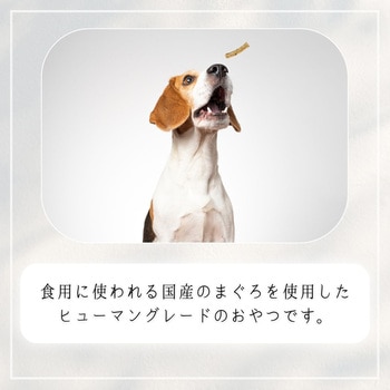 HappyDays 国産まぐろスティック 犬用 ペットプロジャパン