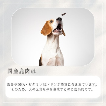 HappyDays 国産鹿肉キューブ 犬用 ペットプロジャパン