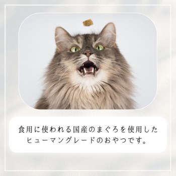 HappyDays 国産まぐろチップ 猫用 ペットプロジャパン