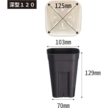 プレステラ深型120 アップルウェアー