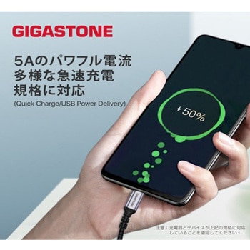 Gigastone 1.5mType C to Type Cケーブル - Gigastone