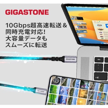Gigastone 1.5mType C to Type Cケーブル - Gigastone