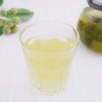 森半 有機煎茶 森半