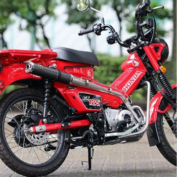 PURESPORT カーボン DAX-PS-02 SP忠男