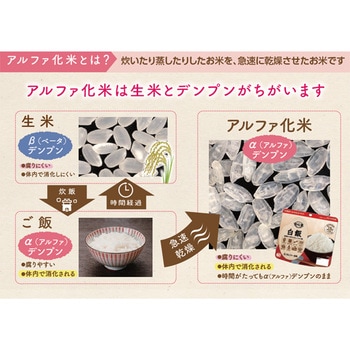 安心米 長期保存 非常食 わかめご飯 アルファー食品
