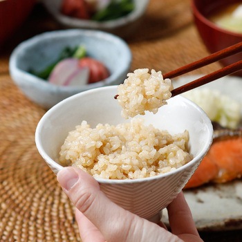 ぷちっともち玄米 アルファー食品