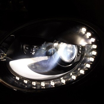 LED Exchange Bulb(LEB) Seabass Link