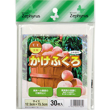 かけふくろ マツモト