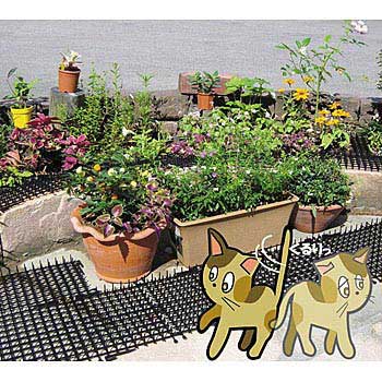 - _V[g DAIM 08466544