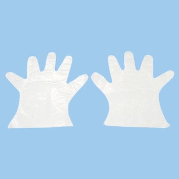 - �|���G�`�������(�O�G���{�X) ���m�^���E 08491847