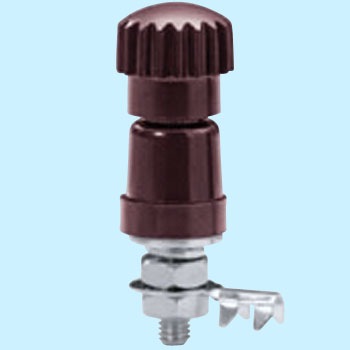 T-2-R ^[~i T-2 Tg[p[c 08629126