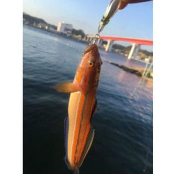テトラワークス イカッコブレード デュオ