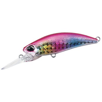テトラワークス トトシャッド48S デュオ