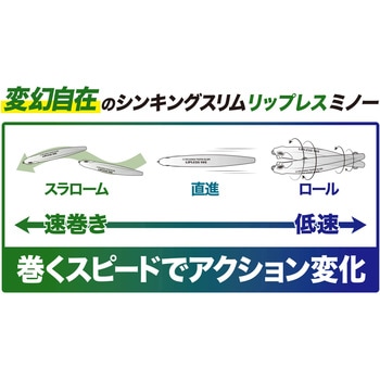 テトラワークス トトスリムリップレス50S デュオ