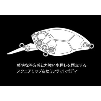 レアリス クランク48MRカブキ ボトムラッシュ デュオ
