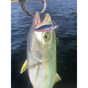 テトラワークス テトラジグ1.5g デュオ